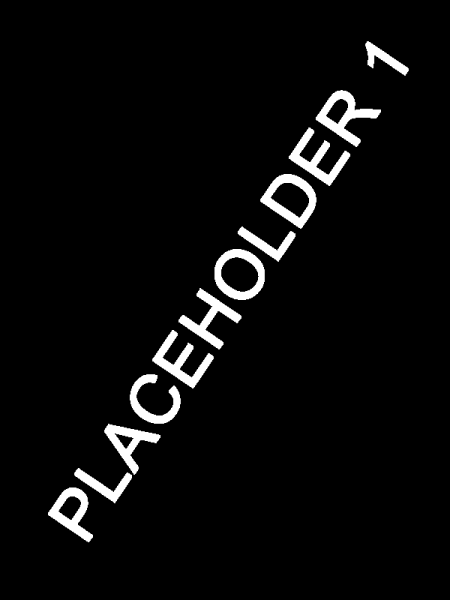 File:RaceExample1.png